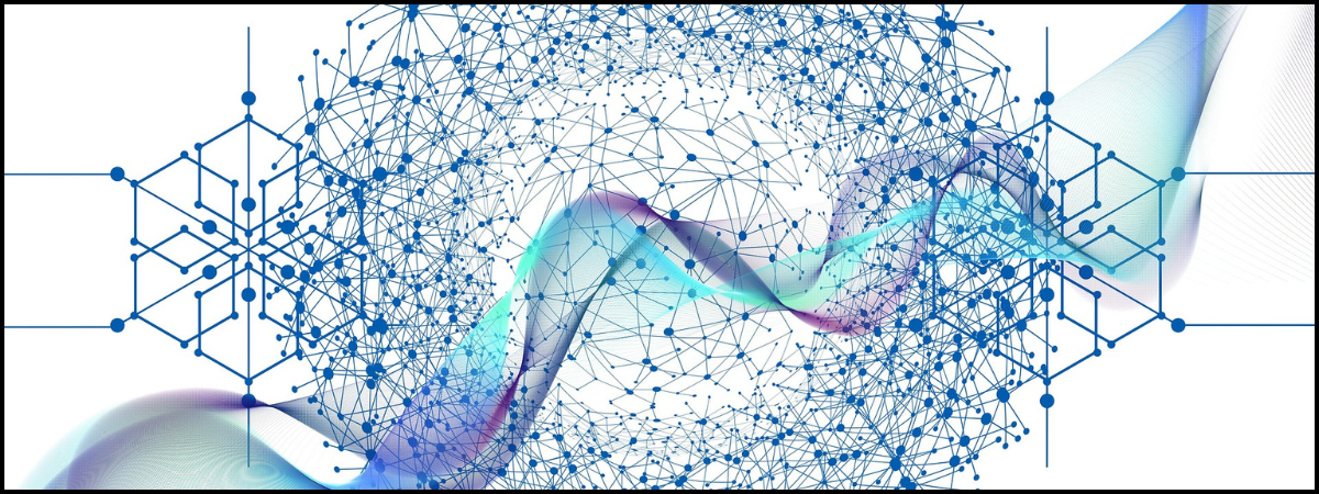 Elementos básicos en una valoración de plataforma digital*