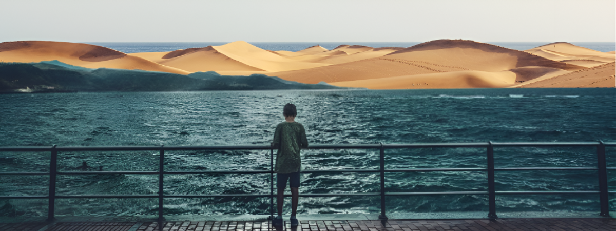 Newsletter “Punto de Vista” – #16