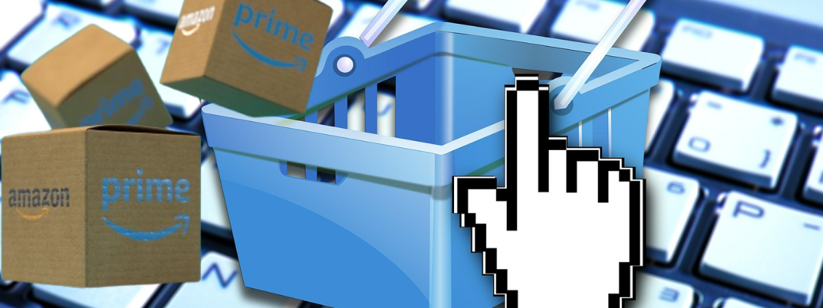 La lección de Amazon*