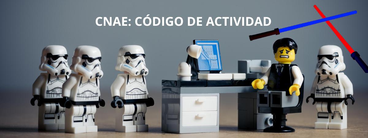 ¿Qué es el CNAE?*